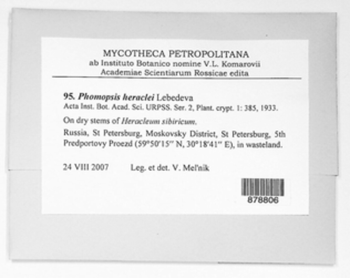 Phomopsis heraclei image